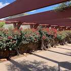 Taliesin West gallery item thumbnail 11